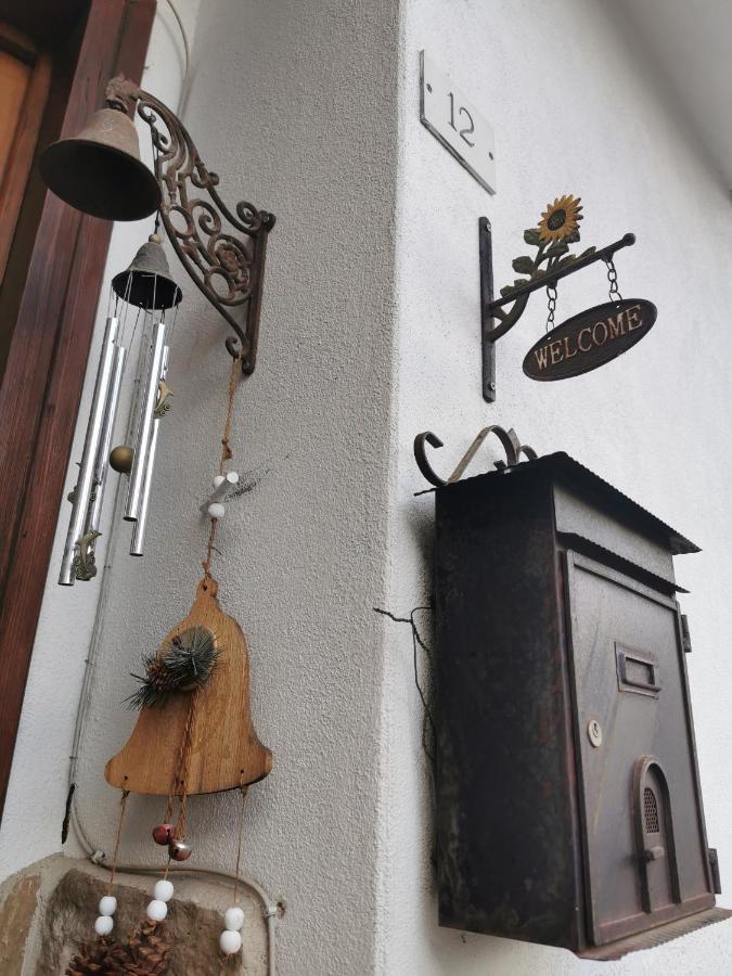 Casa Phoenix Appartamento Piano Terra Immerso Nel Verde A Pochi Minuti Dalla Ciclabile 皮耶韦迪卡多雷 外观 照片